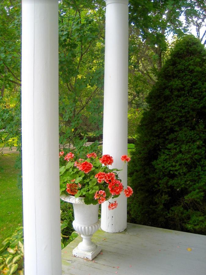 Millbrook Country House Bagian luar foto