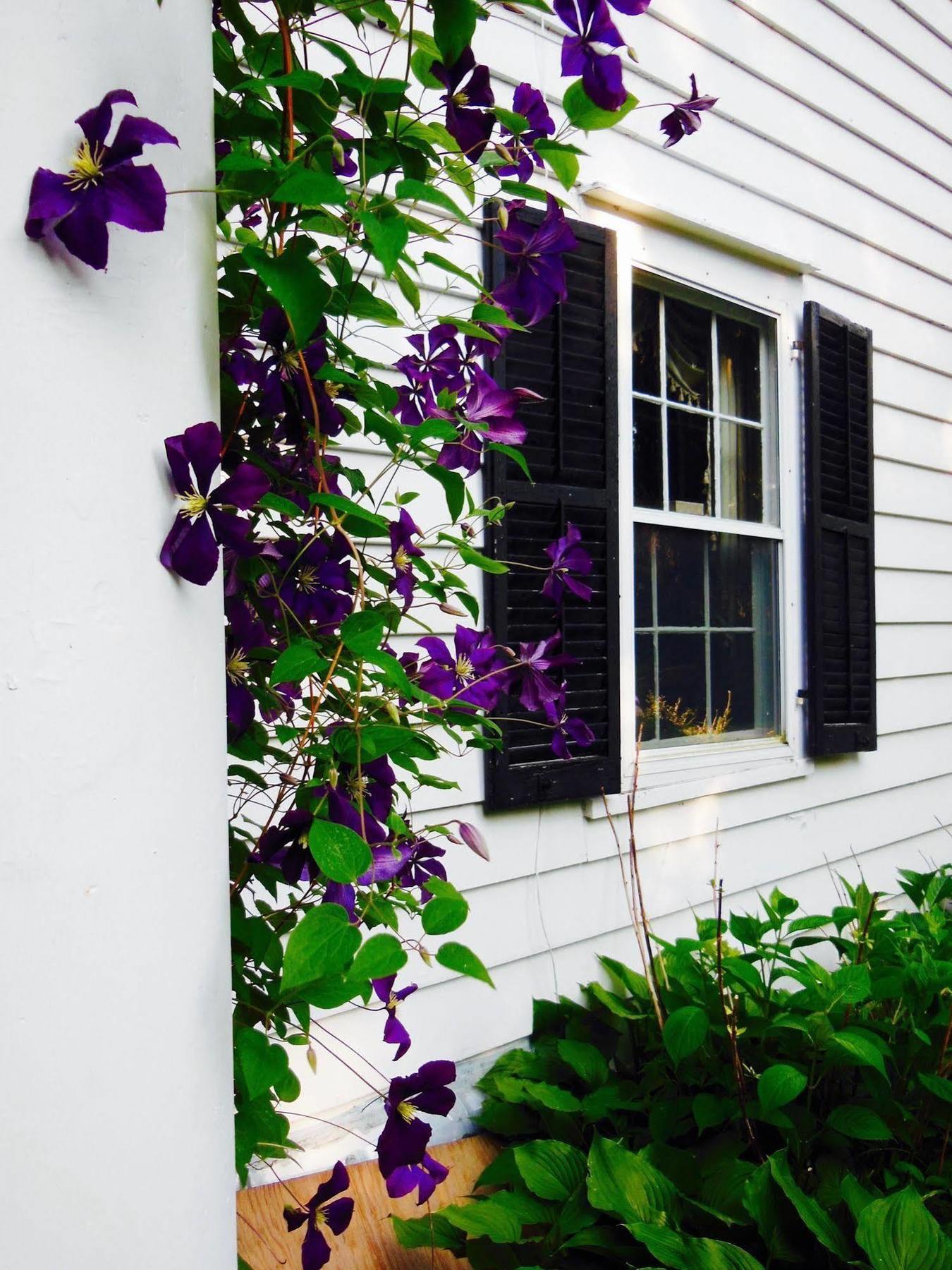 Millbrook Country House Bagian luar foto