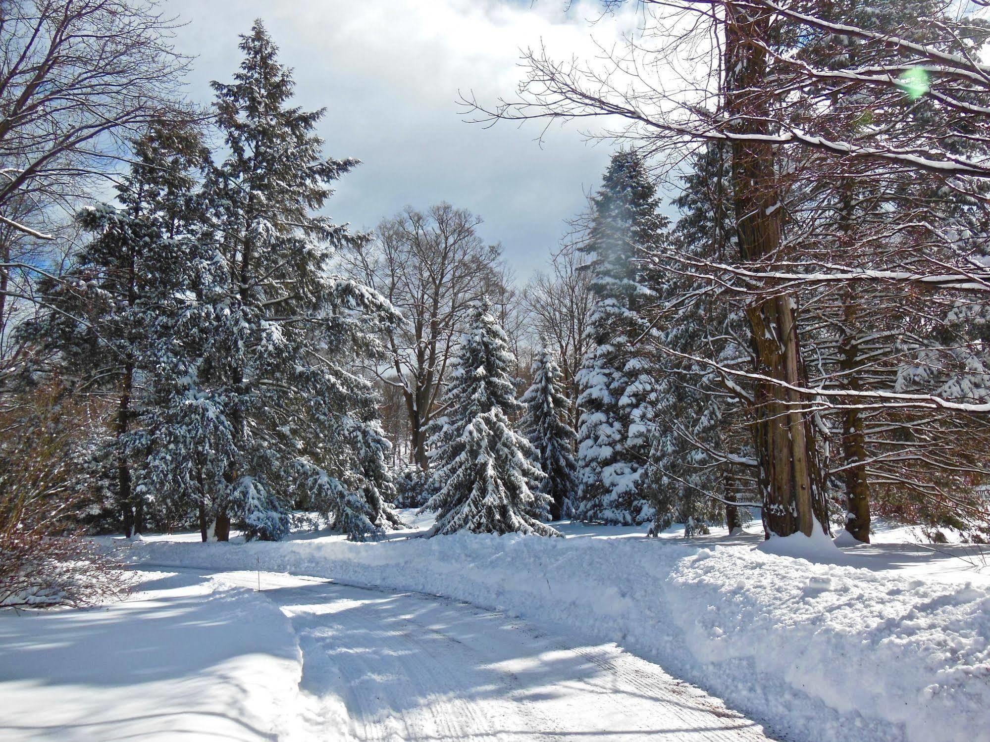 Millbrook Country House Bagian luar foto